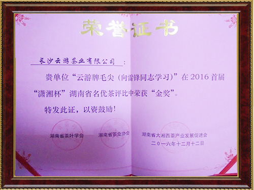 潇湘杯金奖